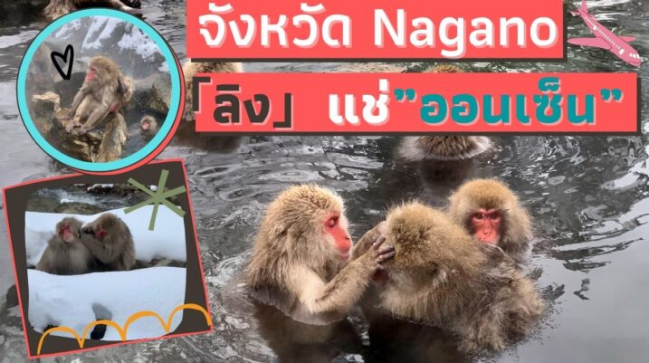 ลิงแช่ออนเซ็น