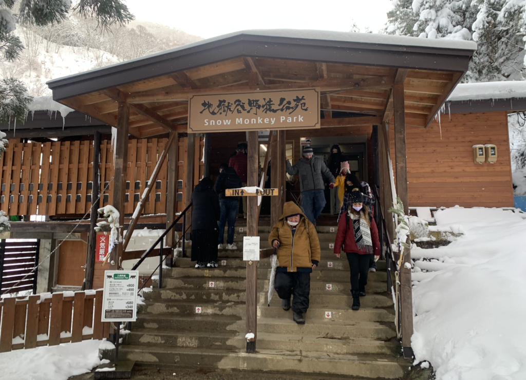 ลิงแช่ออนเซ็น Snow Monkey Resort,Nagano